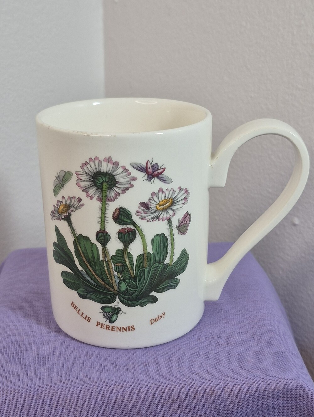 Portmeirion Botanic Garden Bellis Perennis Daisy Coffee/Tea Mug 12 oz